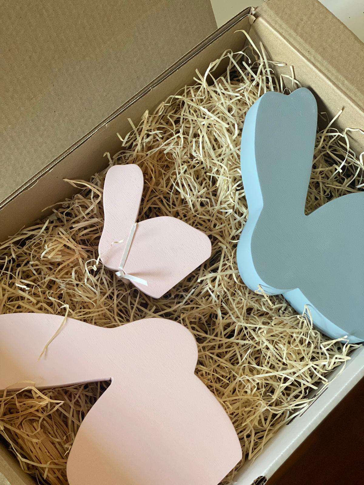 BUNNY Gender Reveal